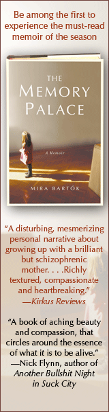 Free Press: The Memory Palace by Mira Bartok