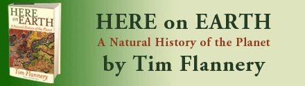 Atlantic Monthly Press: Here on Earth by Tim Flannery